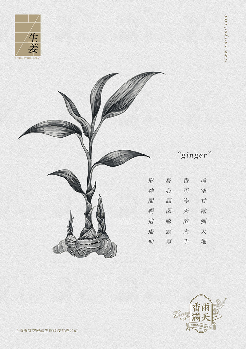 [ 香雨滿天 ] 保健茶平面包裝設(shè)計(jì)_茶葉包裝設(shè)計(jì)_平面包裝設(shè)計(jì)