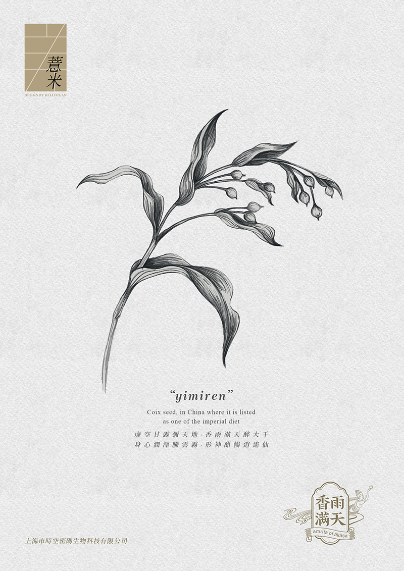 [ 香雨滿天 ] 保健茶平面包裝設(shè)計(jì)_茶葉包裝設(shè)計(jì)_平面包裝設(shè)計(jì)