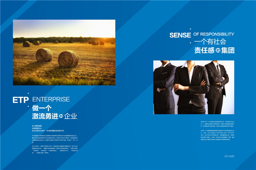 地產(chǎn)畫冊設計案例,集團畫冊設計案例,豐大國際地產(chǎn)集團畫冊設計